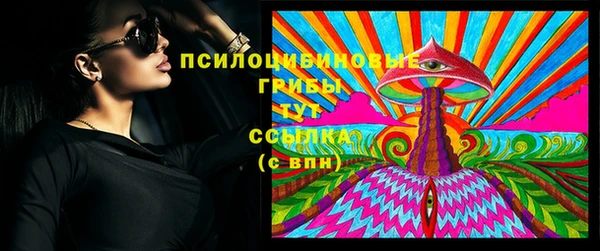 метадон Алексин