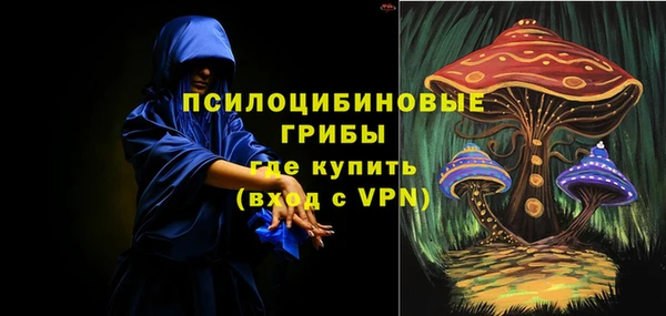 метадон Алексин